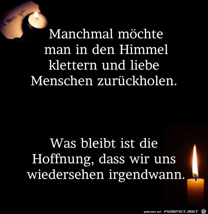 10 schöne Sprüche und Lebensweisheiten aus...